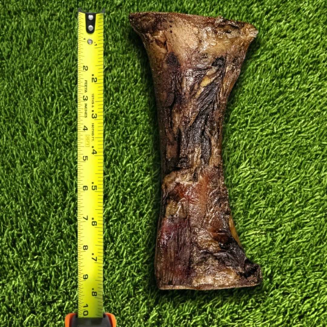 XXL Beef Marrow Bones | 9” long | (Pack)