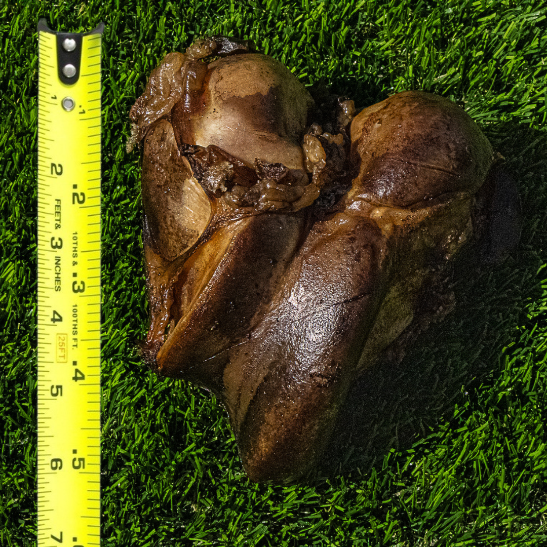 Smoked beef knuckle for dogs