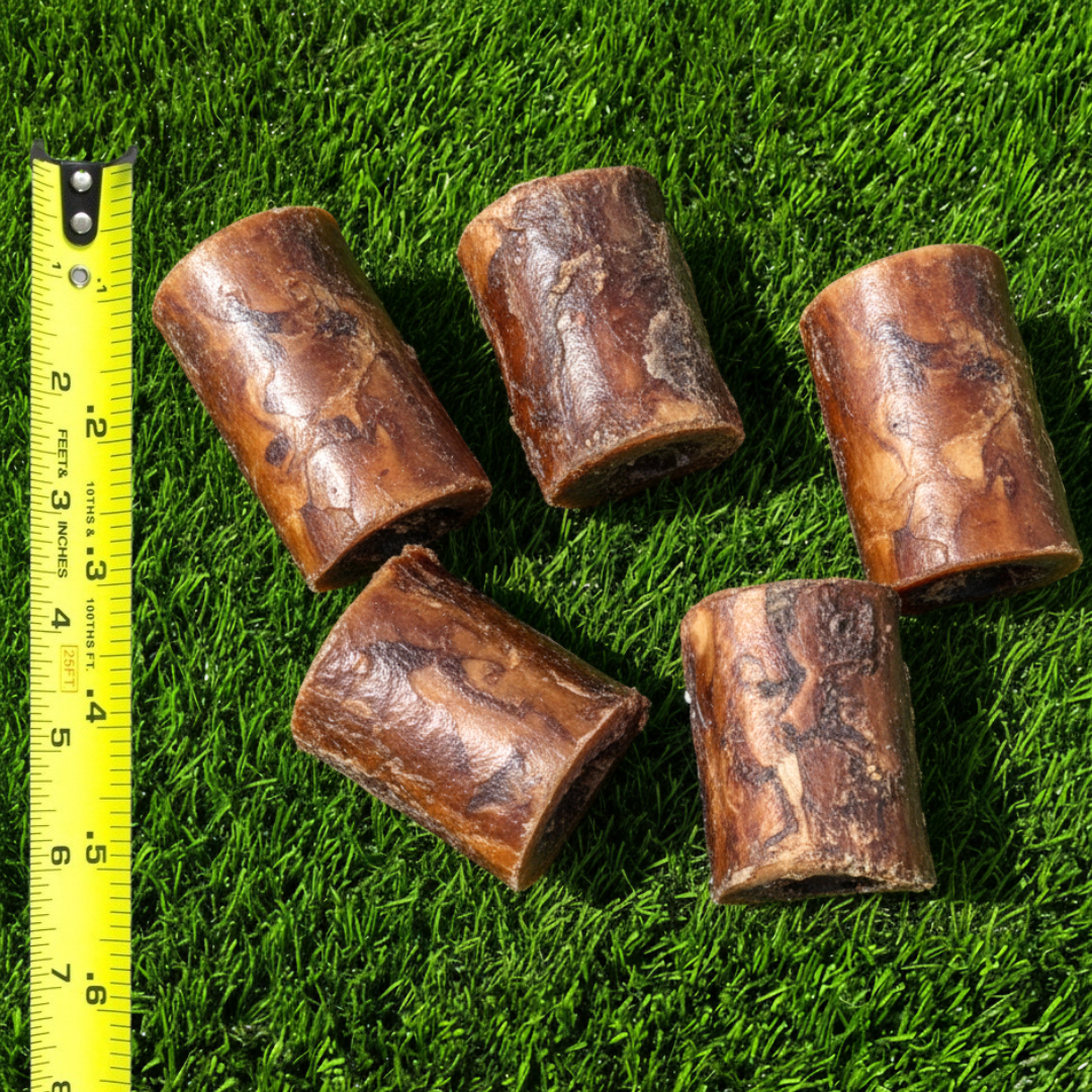 3.5 inch smoked beef marrow bones