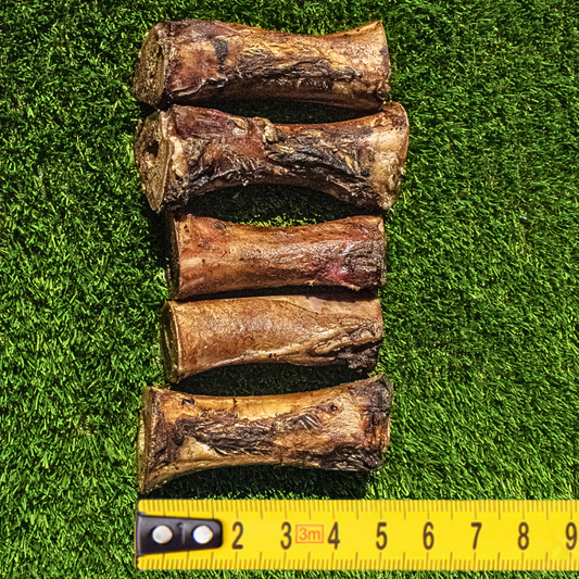 Medium Beef Marrow Bones | 4-5” long | (Pack)