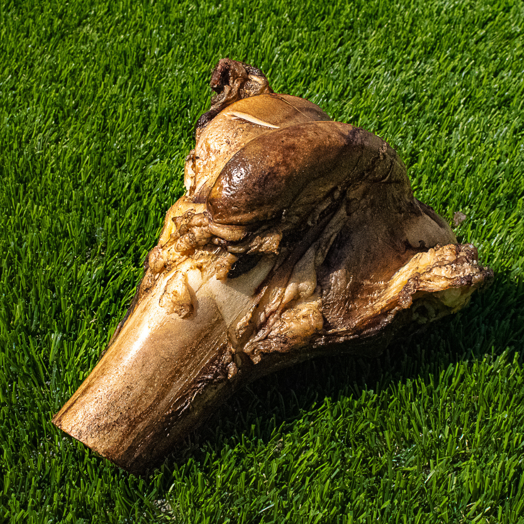 Large grass-fed dog bone for large dog breeds cut in half