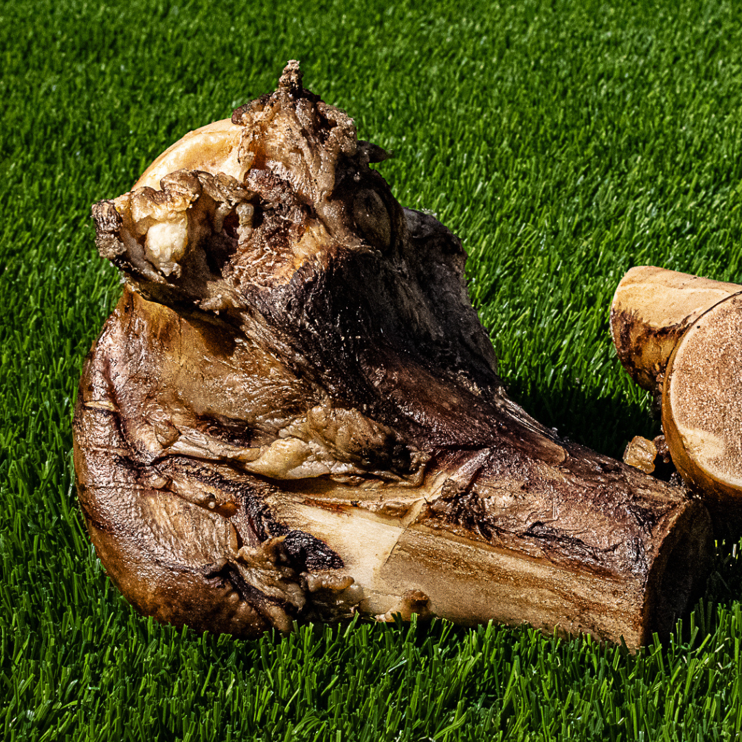 Large grass-fed dog bone for large dog breeds cut in half