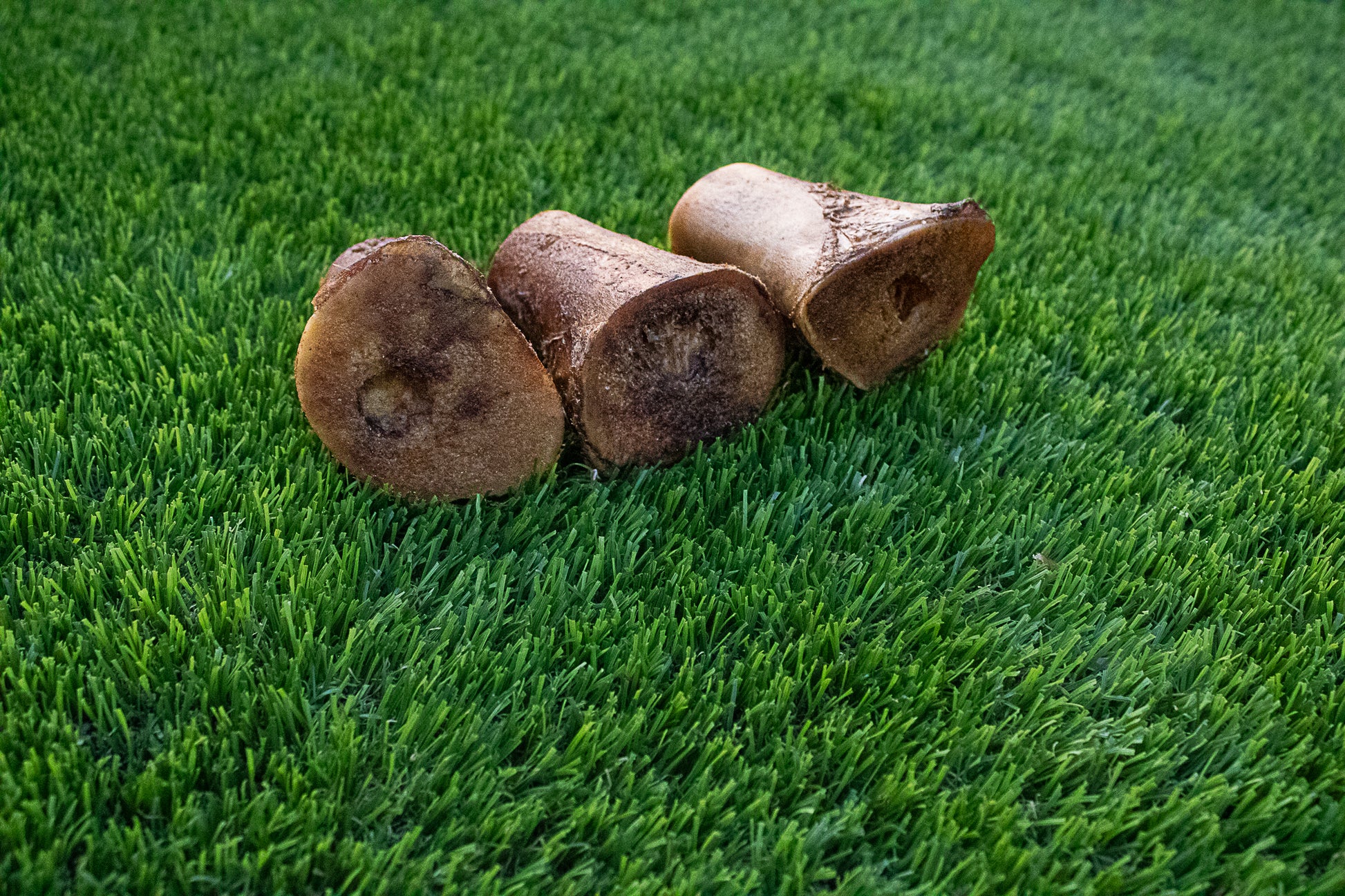 Smoked Beef Marrow Bones For Dogs
