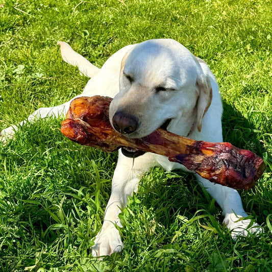Farmer's Fetch Bones - Premium Quality, Farm-Fresh Bones For Dogs