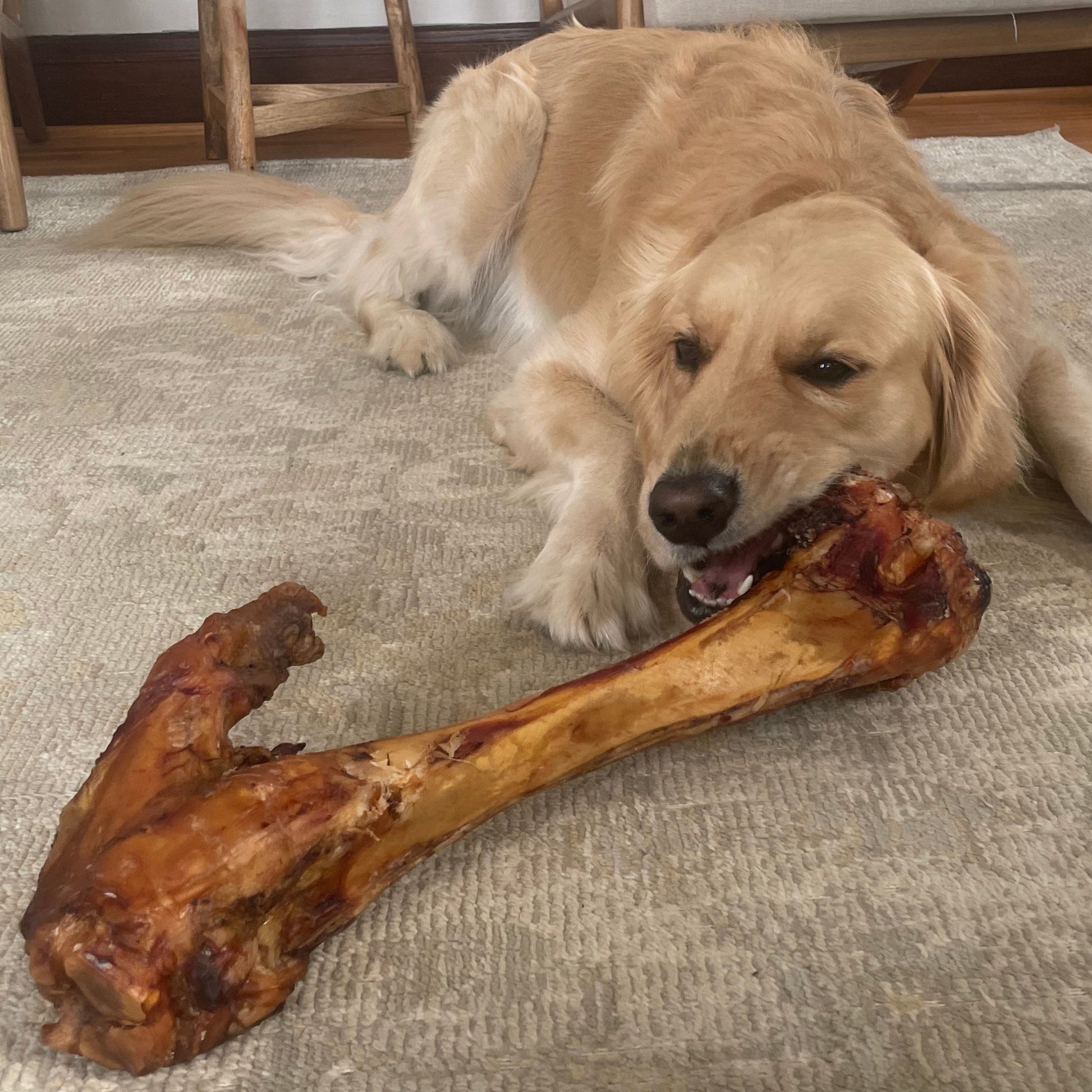 Big Ol' Bone - Giant Dog Bones For Aggressive Chewers | Farmer’s Fetch