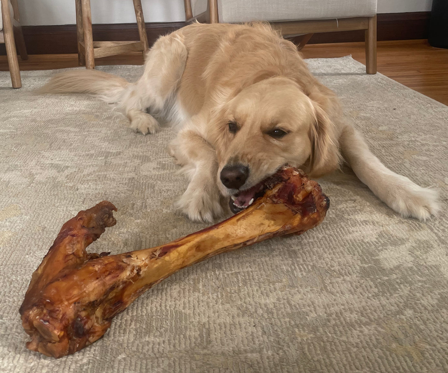 Giant grass-fed dog bone for large breeds