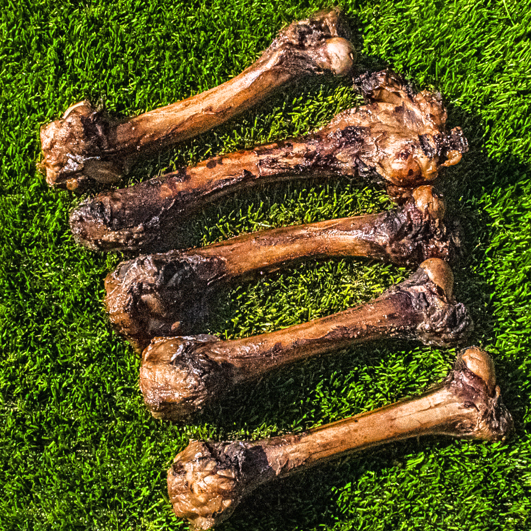 Fresh Smoked Lamb Bones For Dogs Pack of Five