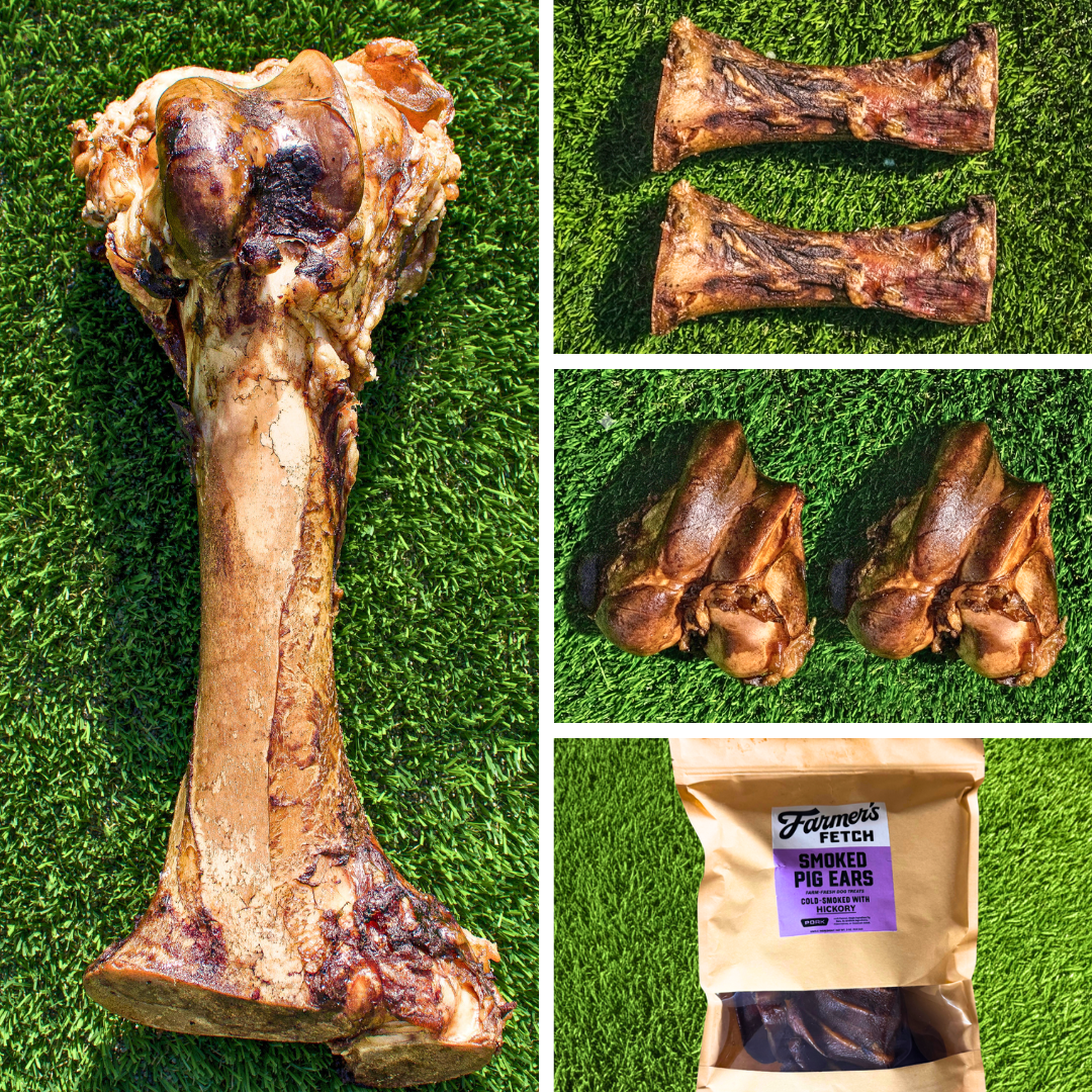 Large Breed Favorites Bundle