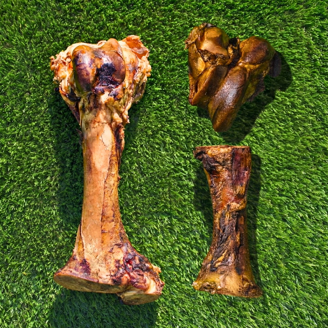 Large Breed Starter Bundle