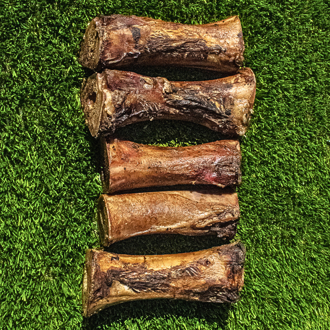 Medium Beef Marrow Bones | 4-5” long | (Pack)