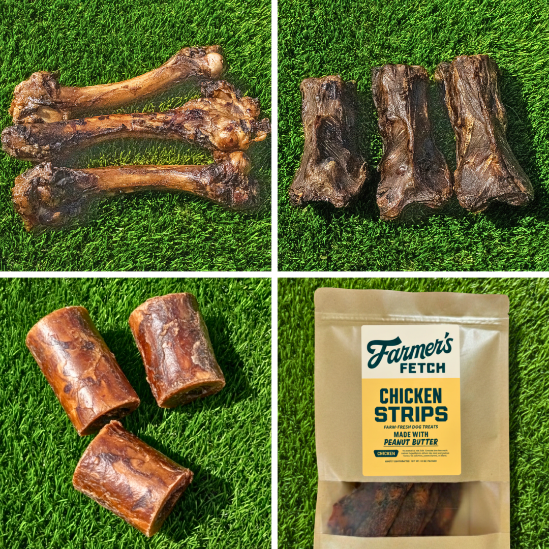 Small Breed Favorites Bundle