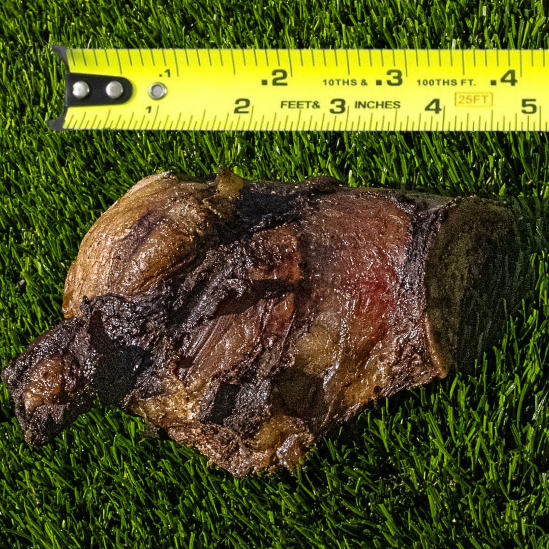 Smoked beef knuckles for small dogs