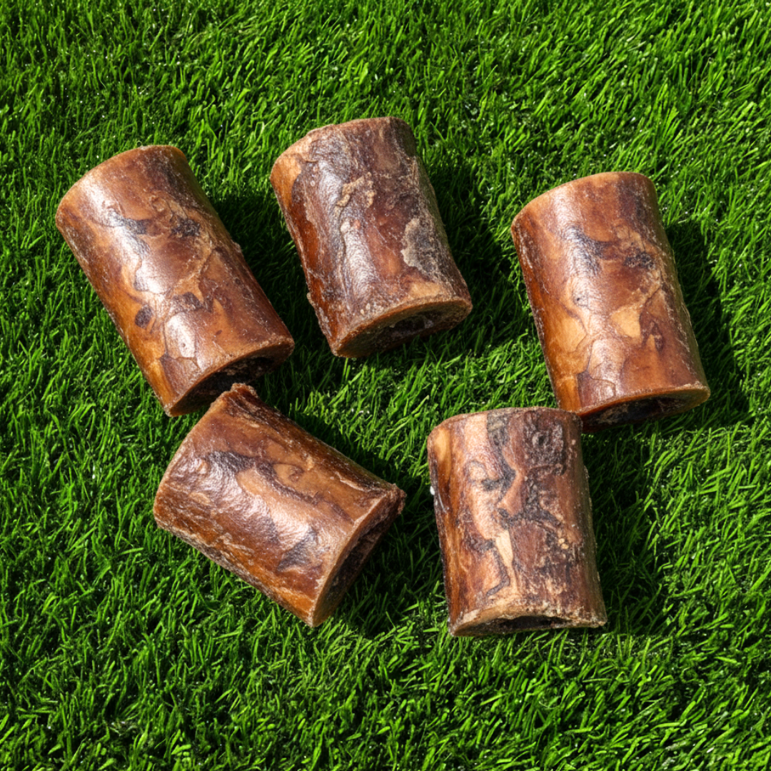 3.5 inch smoked beef marrow bones