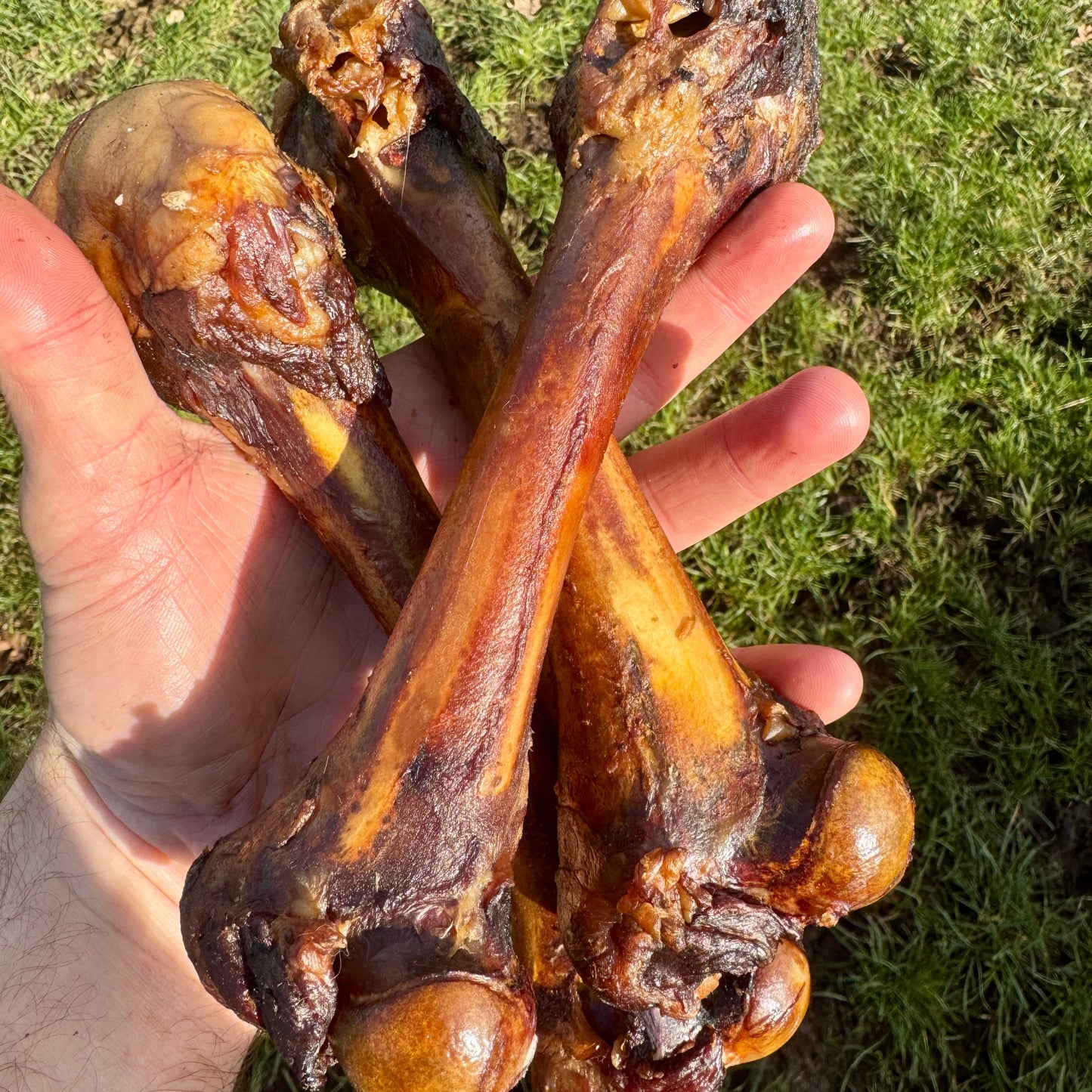 Fresh Smoked Lamb Bones For Dogs