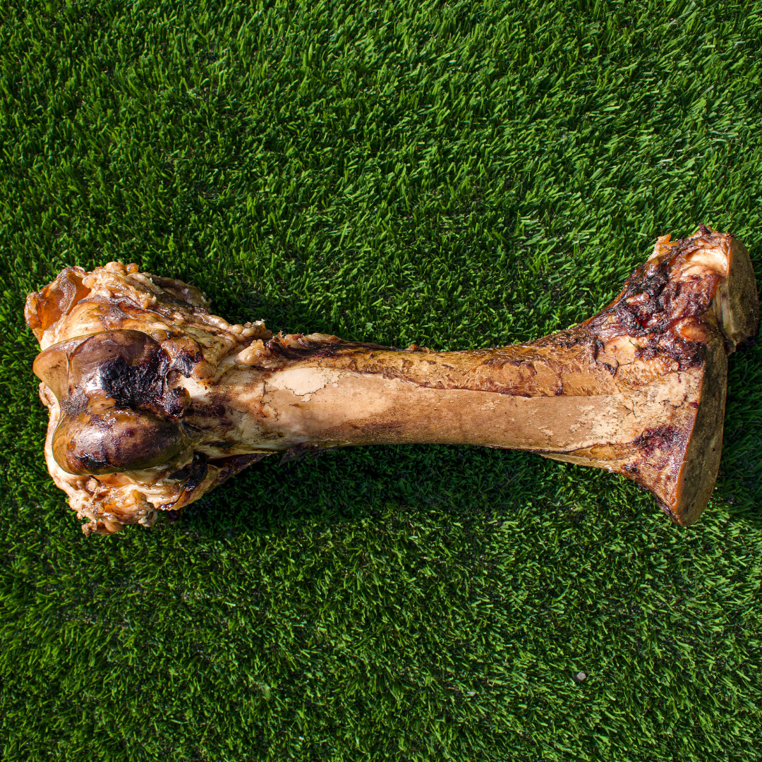 Large grass-fed dog bone for large dog breeds