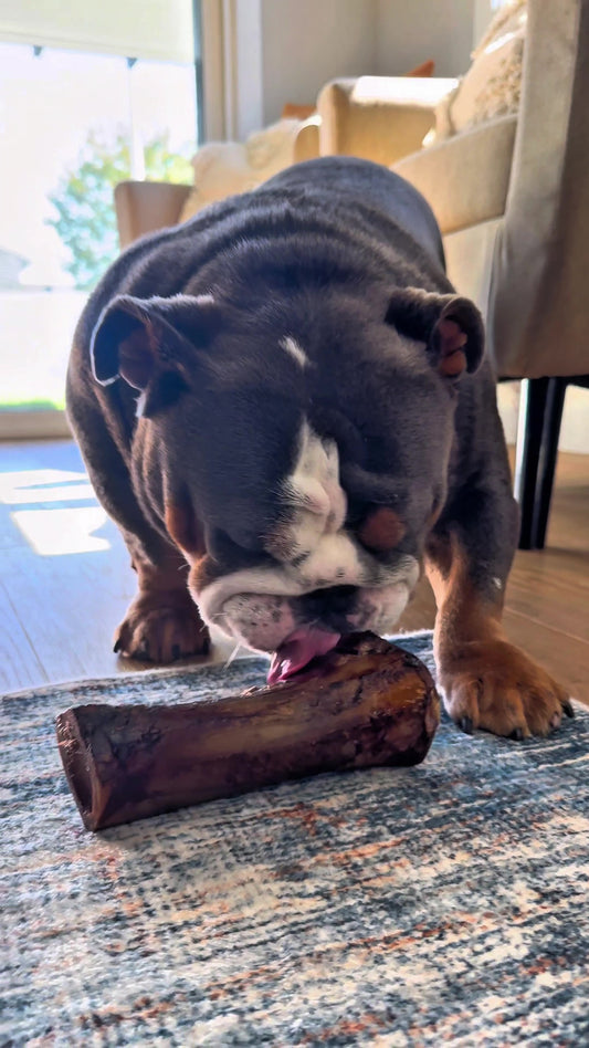 Large Marrow Bones | 6” long | (Pack)